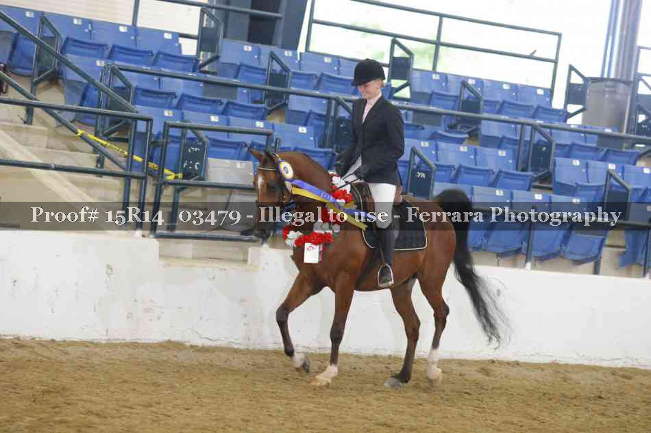 Proof Number 15R14_03479