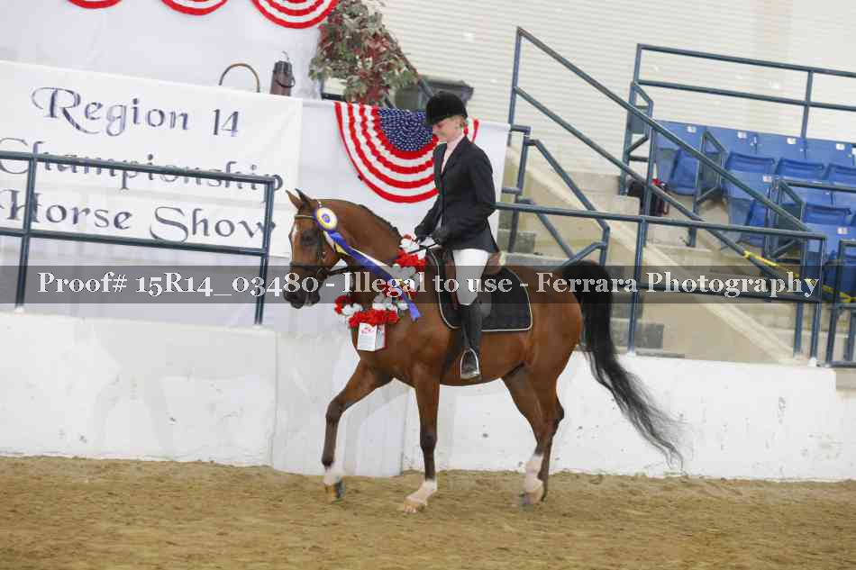 Proof Number 15R14_03480