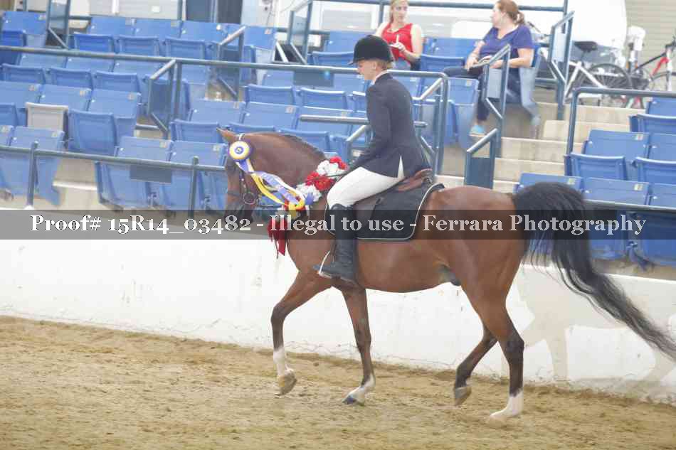 Proof Number 15R14_03482