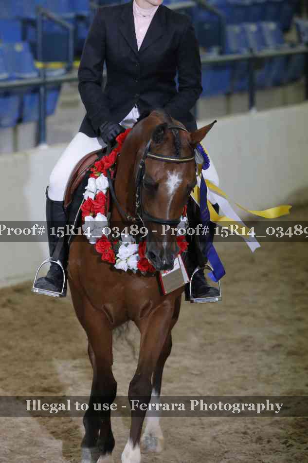 Proof Number 15R14_03489