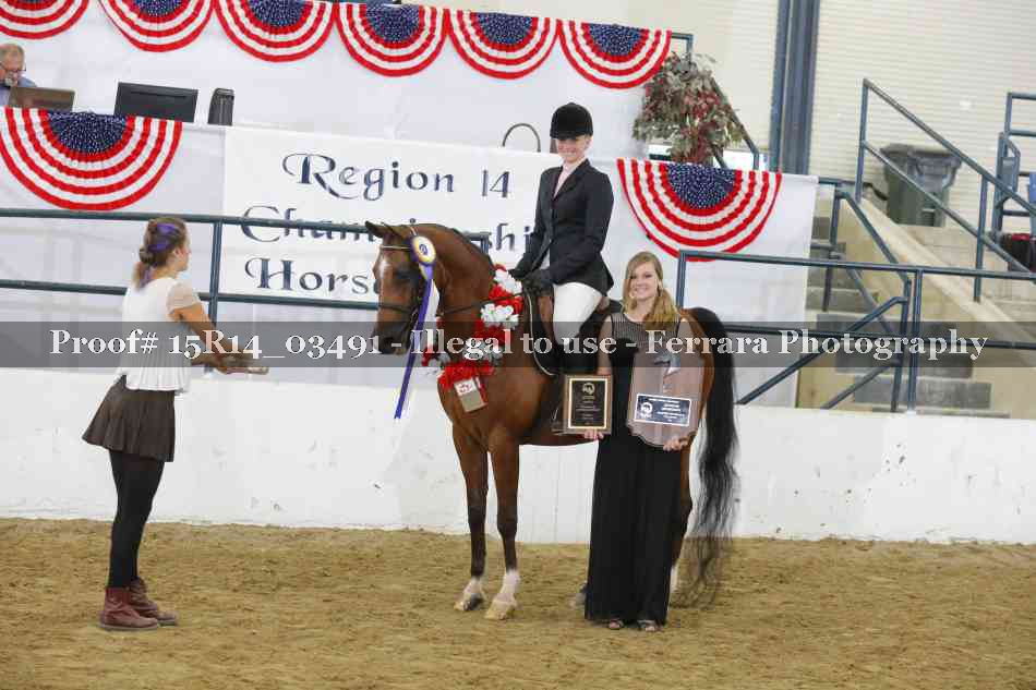 Proof Number 15R14_03491