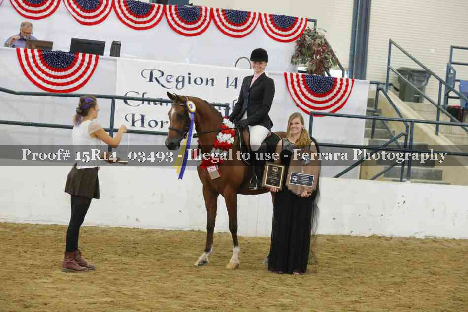 Proof Number 15R14_03493