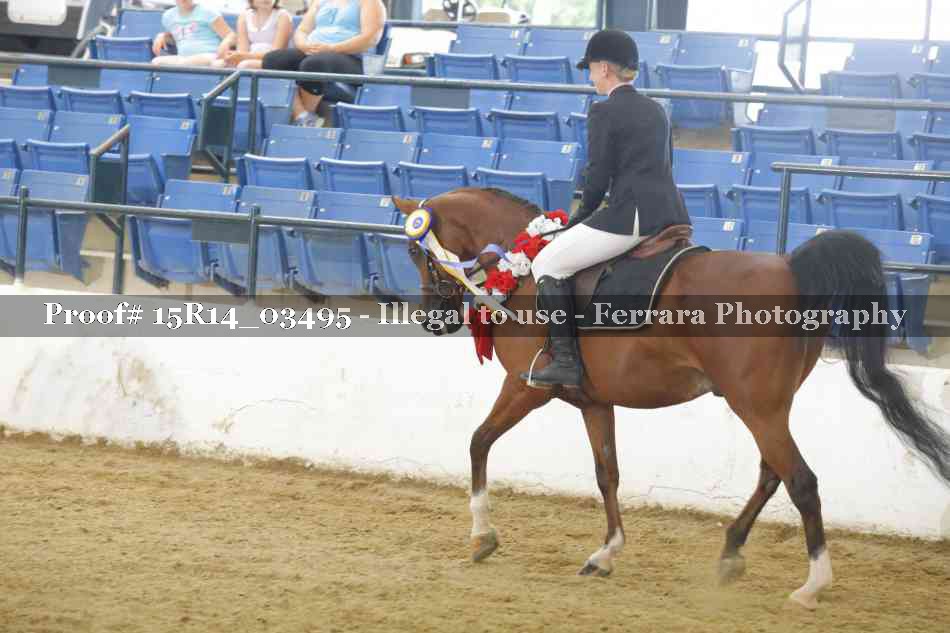 Proof Number 15R14_03495