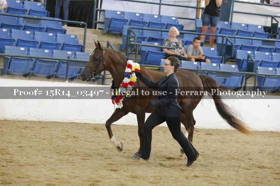 Proof Number 15R14_03497