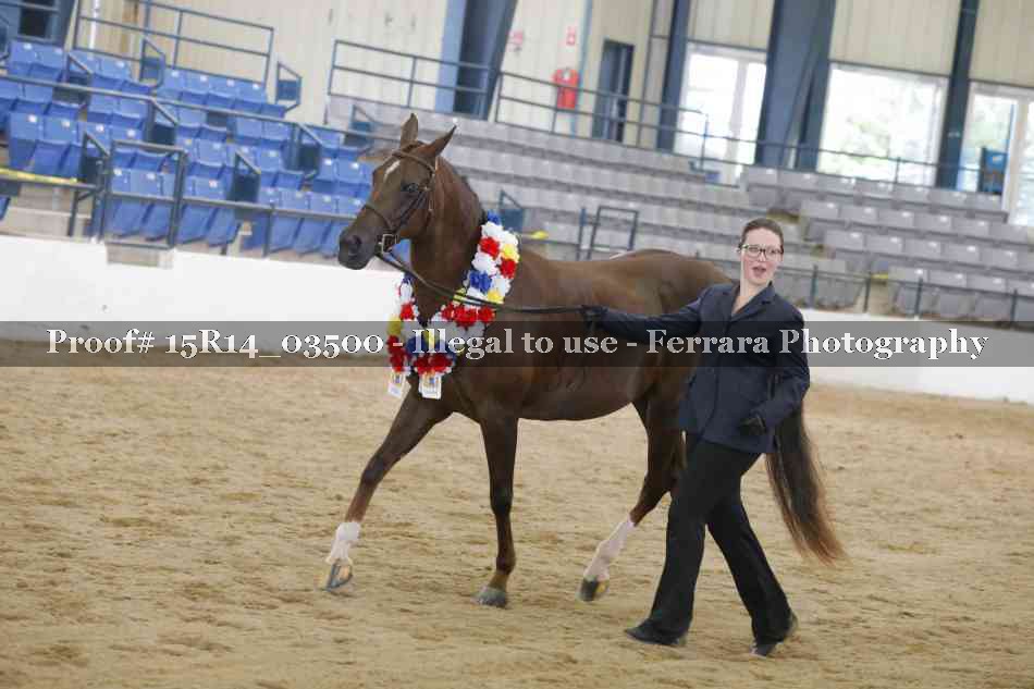 Proof Number 15R14_03500