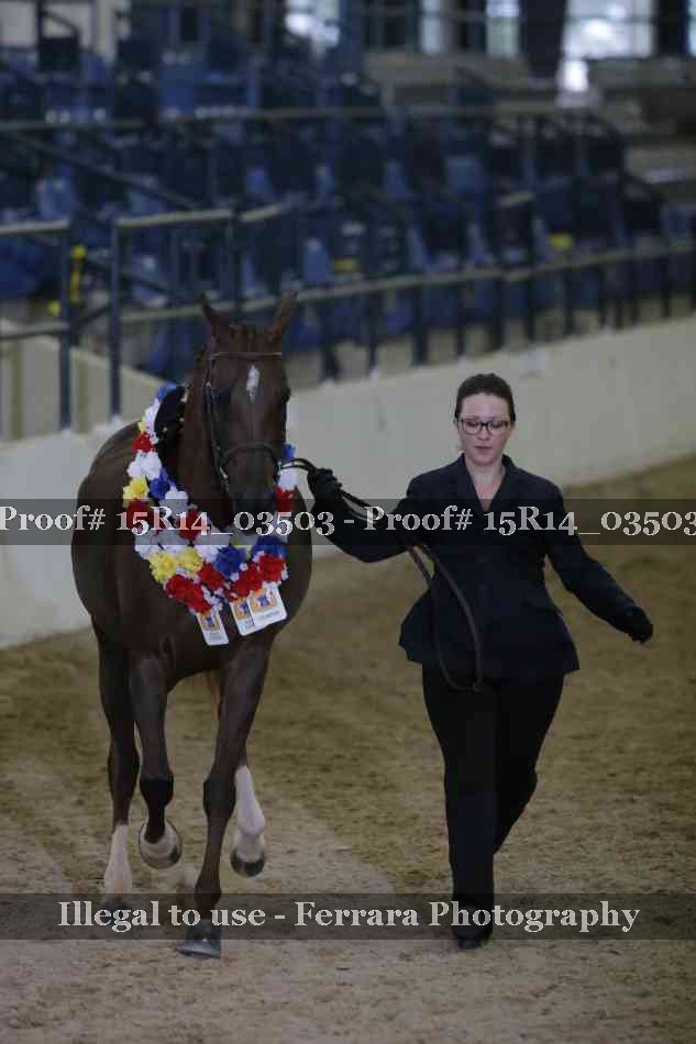 Proof Number 15R14_03503