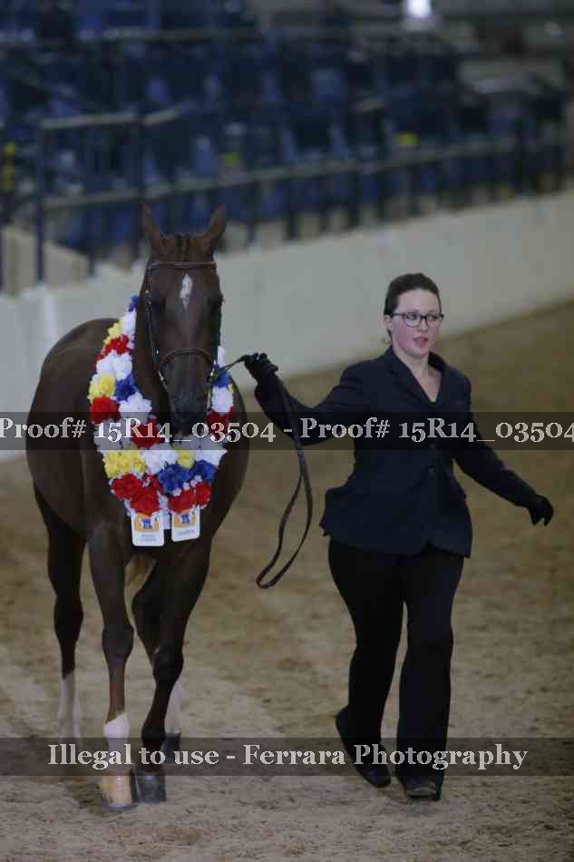 Proof Number 15R14_03504