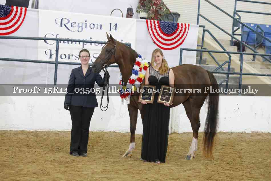 Proof Number 15R14_03505