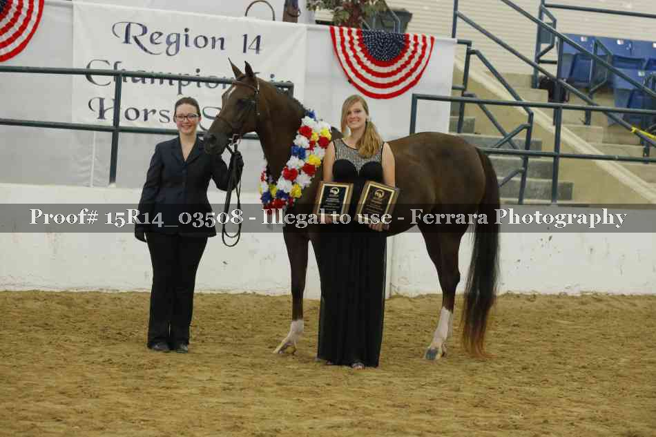 Proof Number 15R14_03508