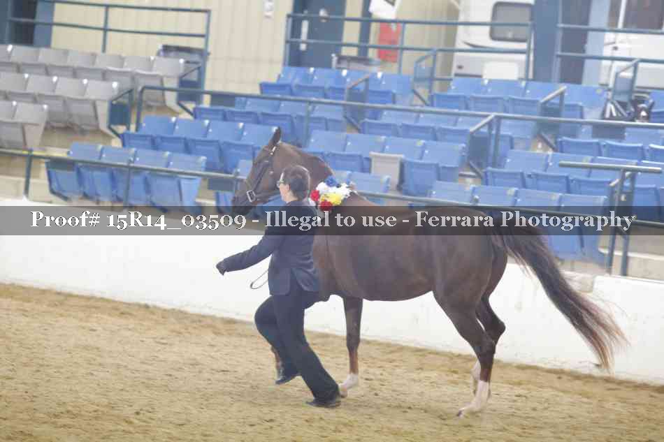 Proof Number 15R14_03509
