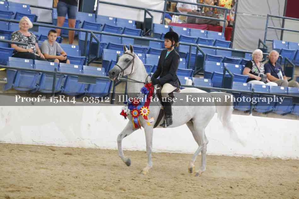 Proof Number 15R14_03512