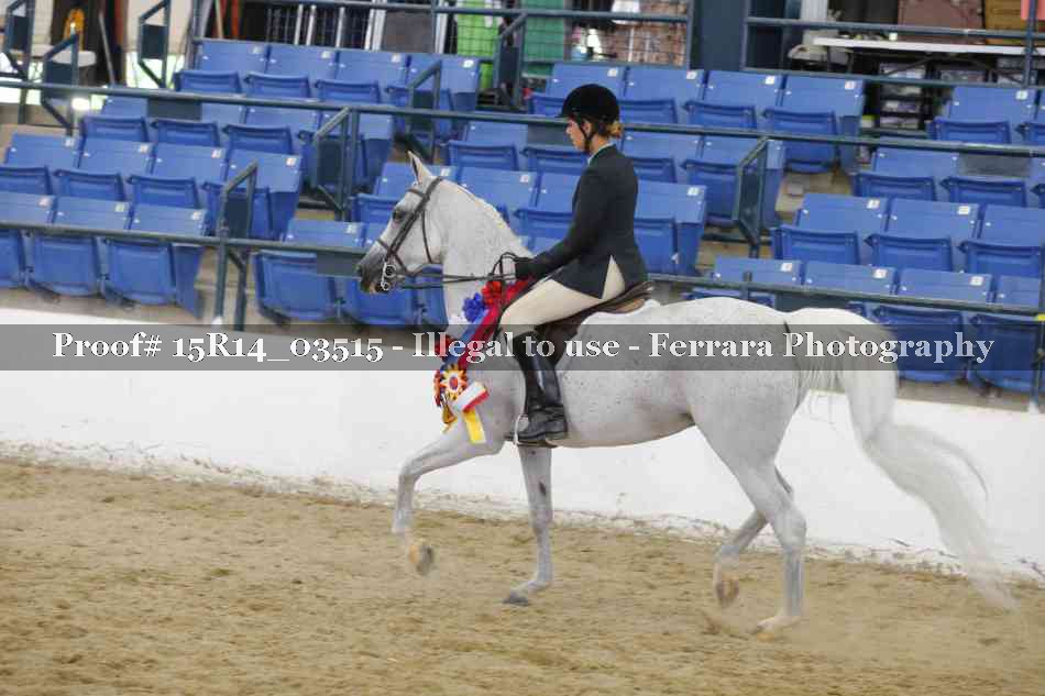 Proof Number 15R14_03515