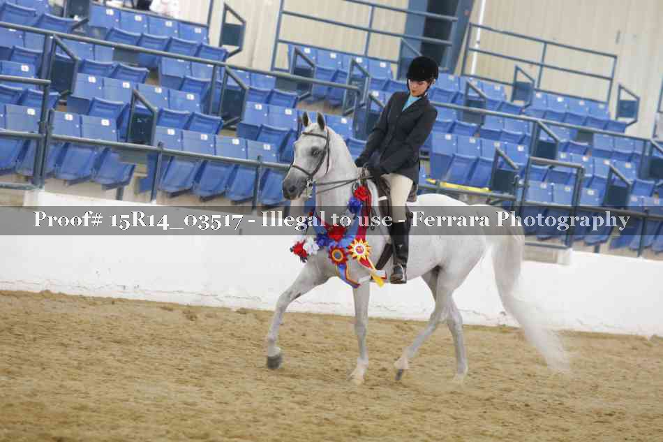 Proof Number 15R14_03517