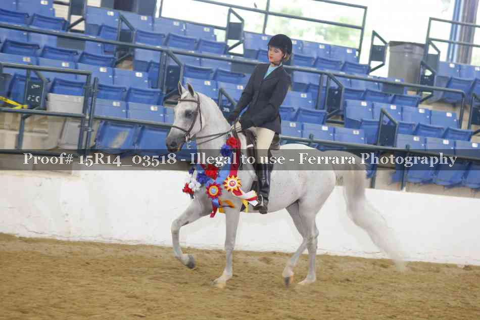 Proof Number 15R14_03518
