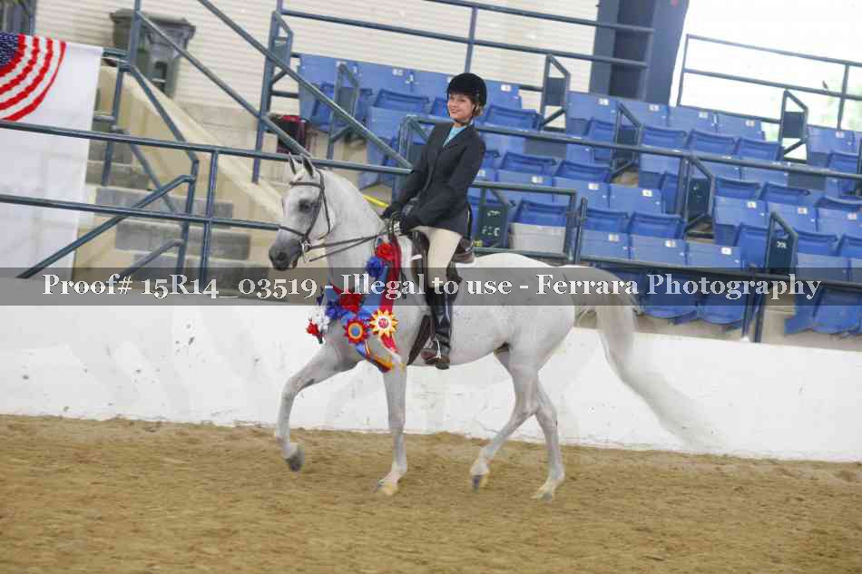 Proof Number 15R14_03519