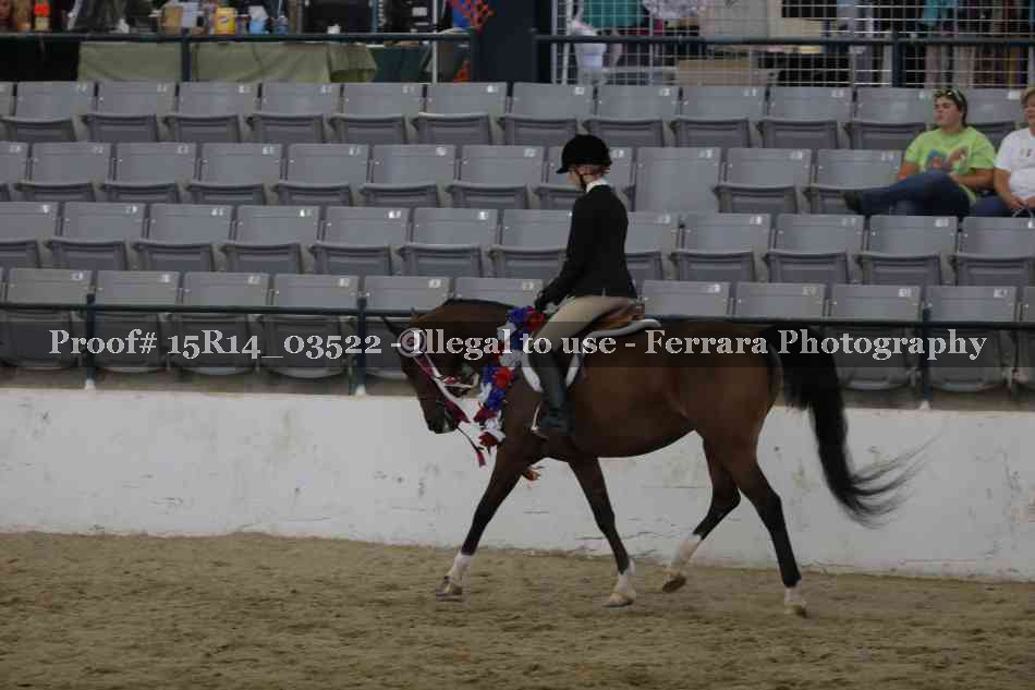 Proof Number 15R14_03522