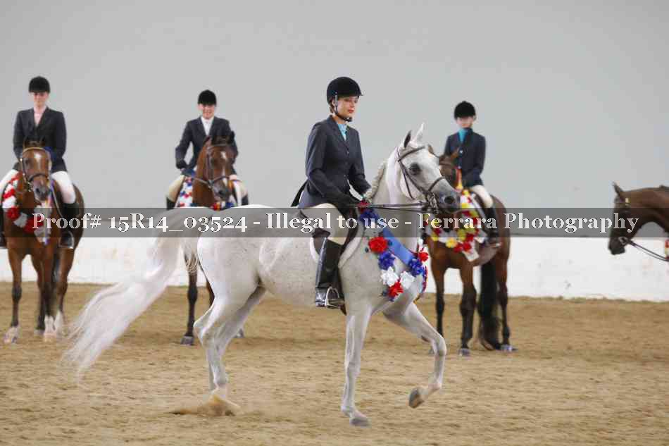 Proof Number 15R14_03524