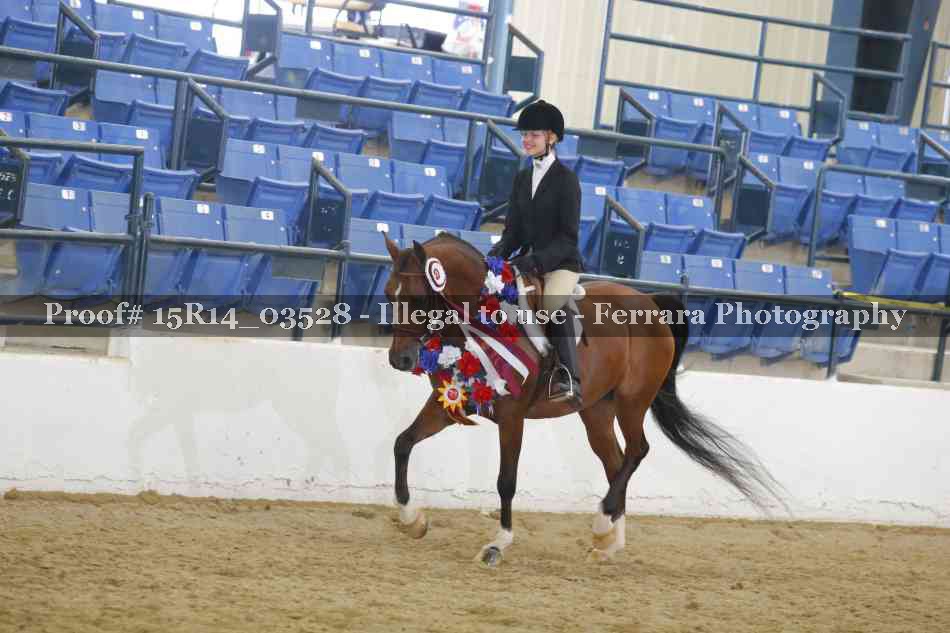Proof Number 15R14_03528