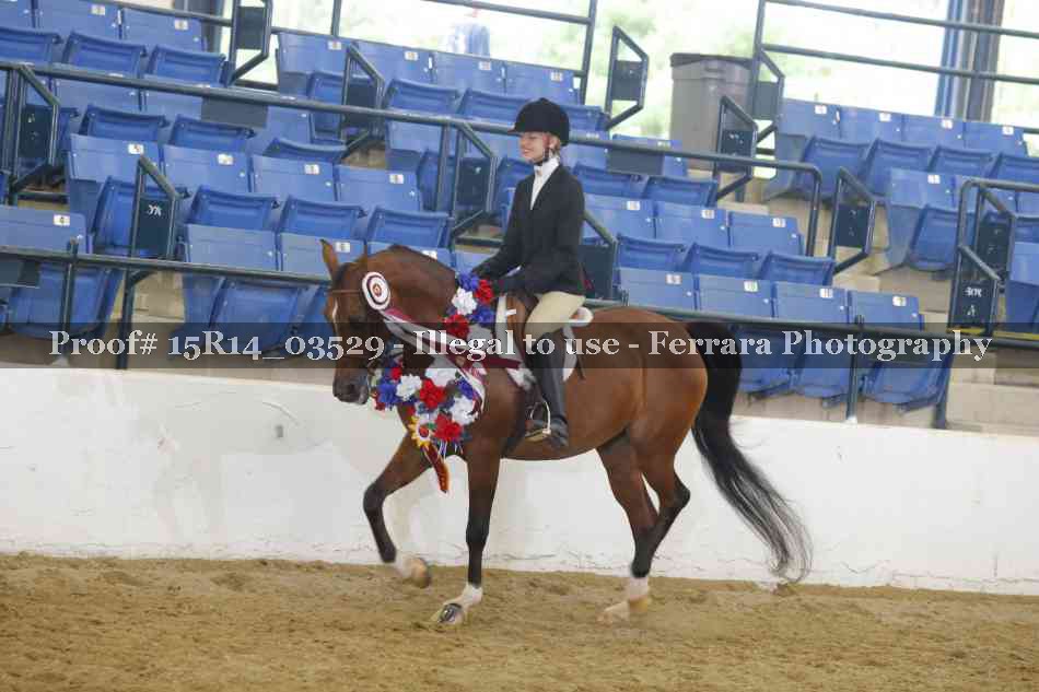 Proof Number 15R14_03529