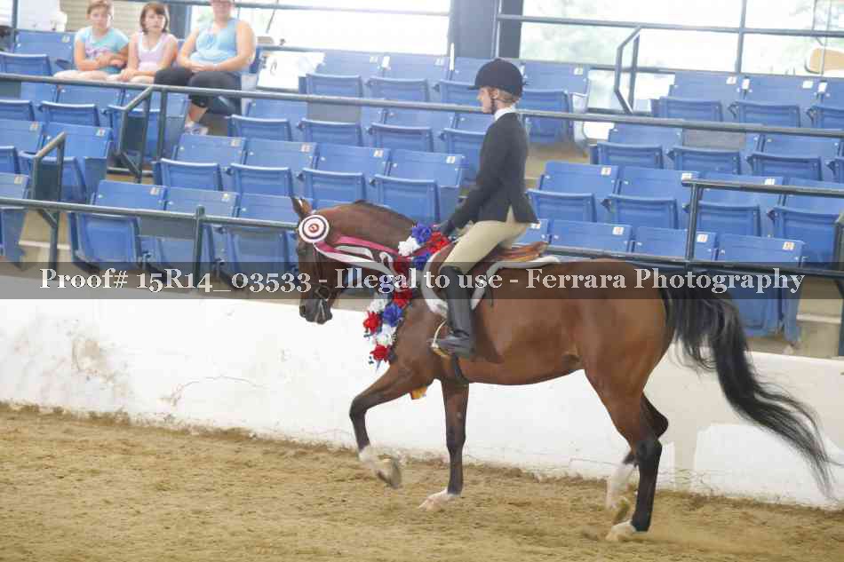Proof Number 15R14_03533