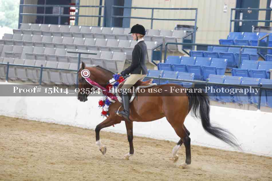 Proof Number 15R14_03534