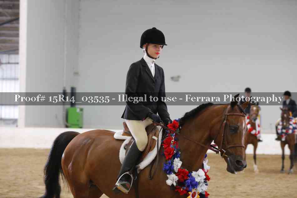 Proof Number 15R14_03535
