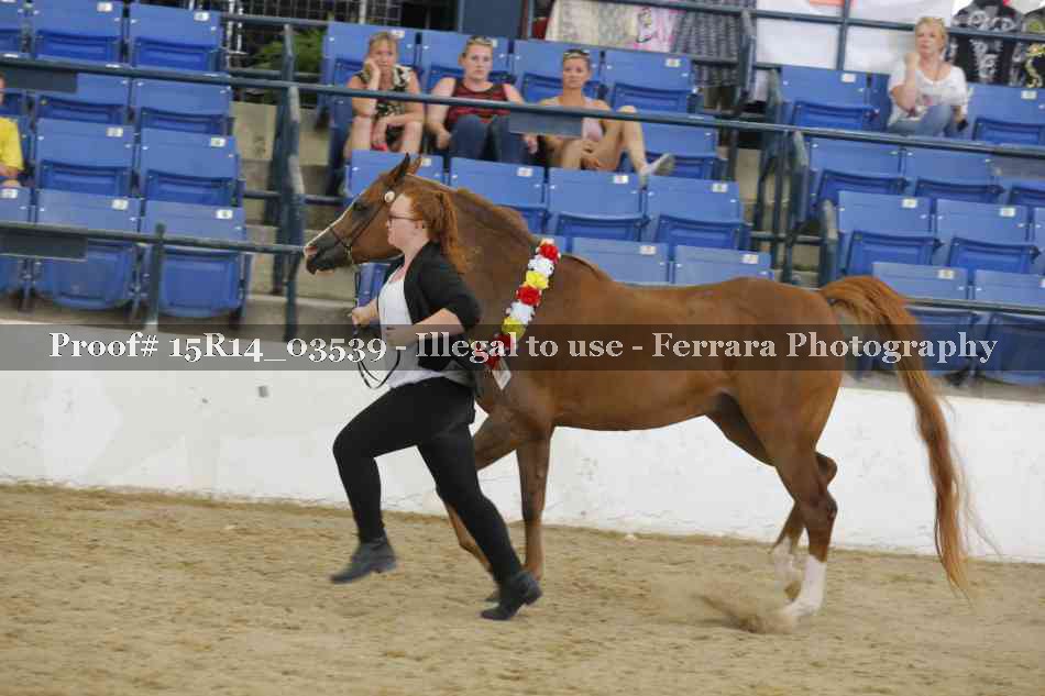 Proof Number 15R14_03539