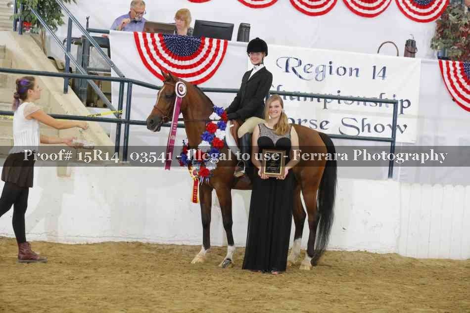 Proof Number 15R14_03541