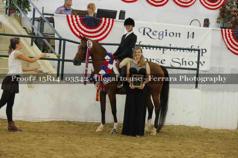 Proof Number 15R14_03542