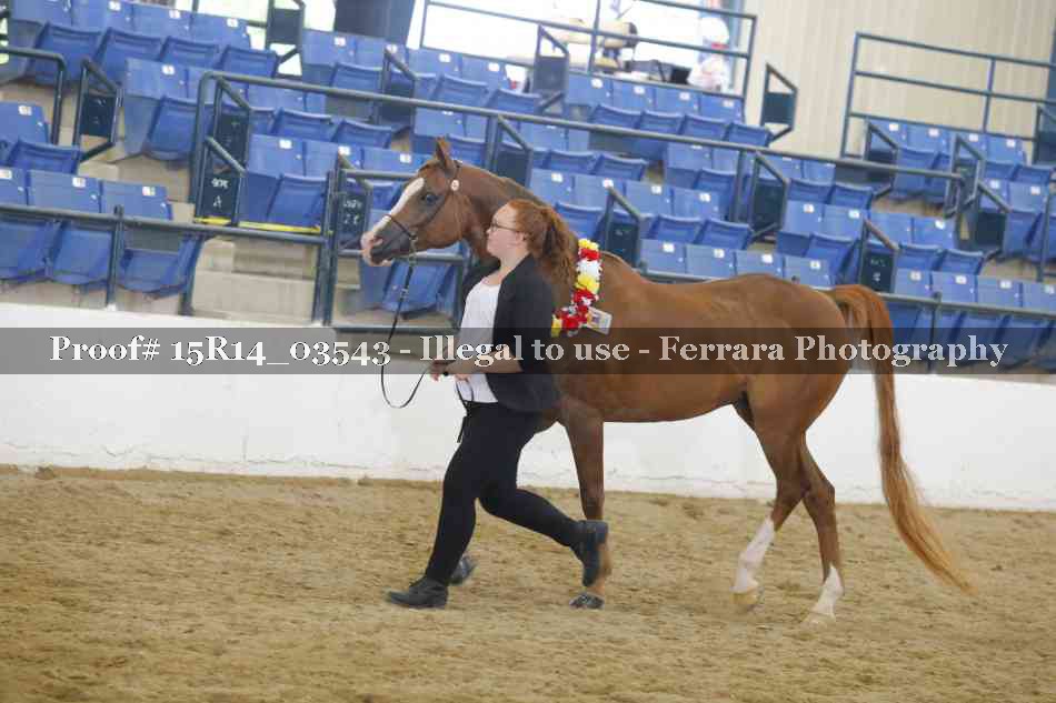 Proof Number 15R14_03543