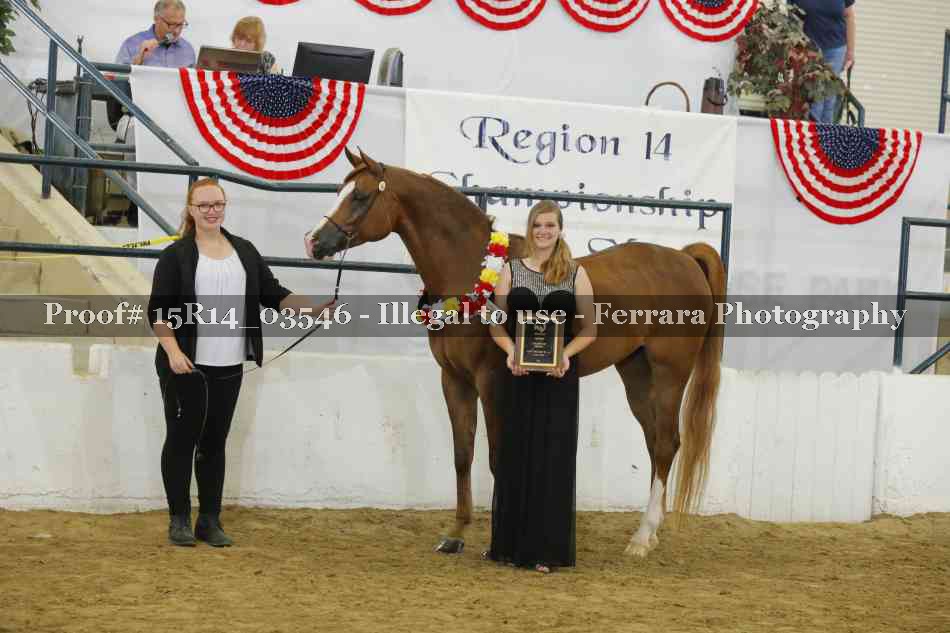 Proof Number 15R14_03546