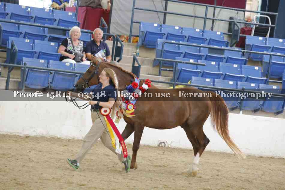 Proof Number 15R14_03548