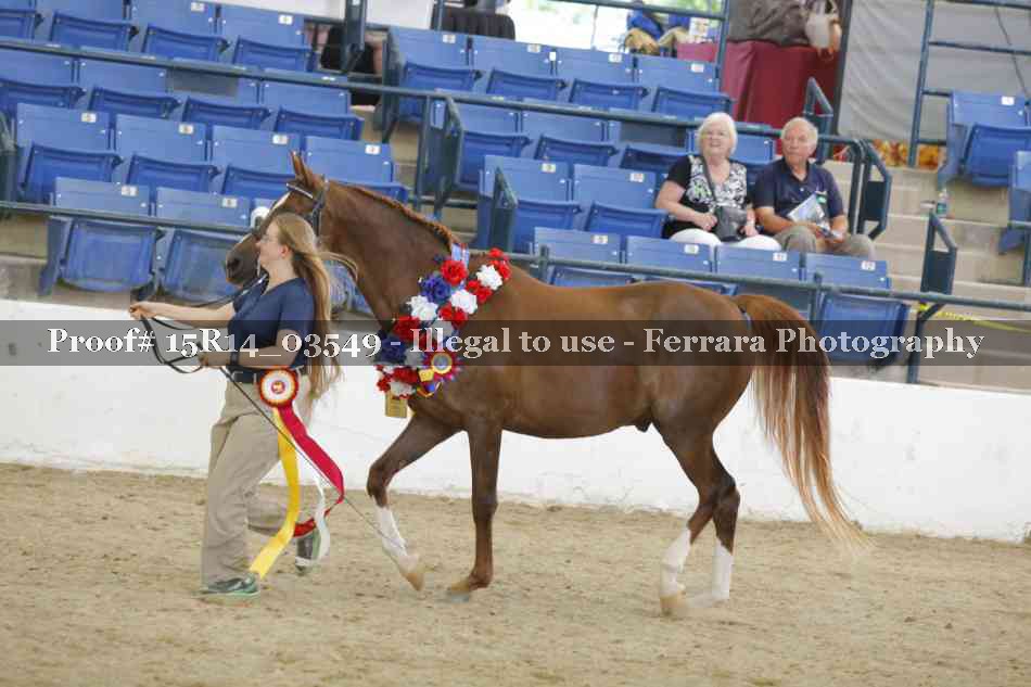 Proof Number 15R14_03549