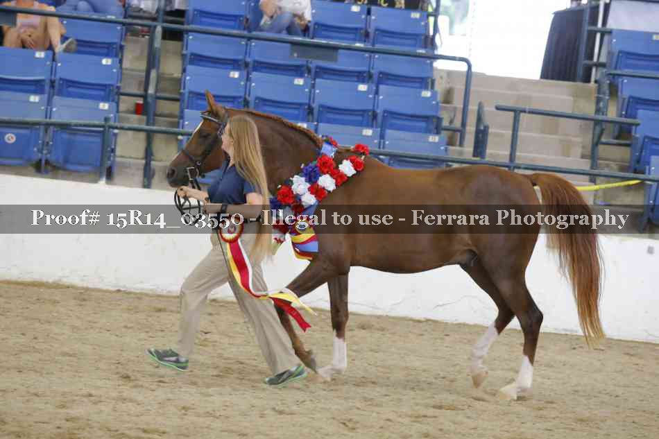 Proof Number 15R14_03550