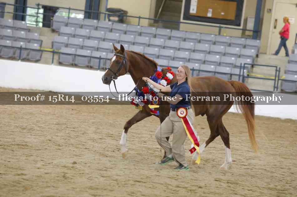 Proof Number 15R14_03554