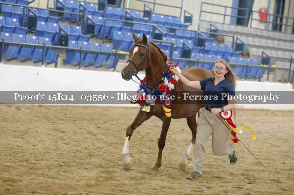 Proof Number 15R14_03556