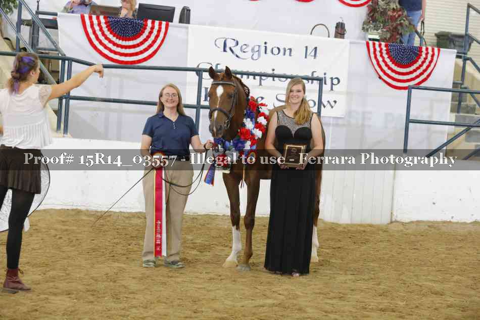Proof Number 15R14_03557
