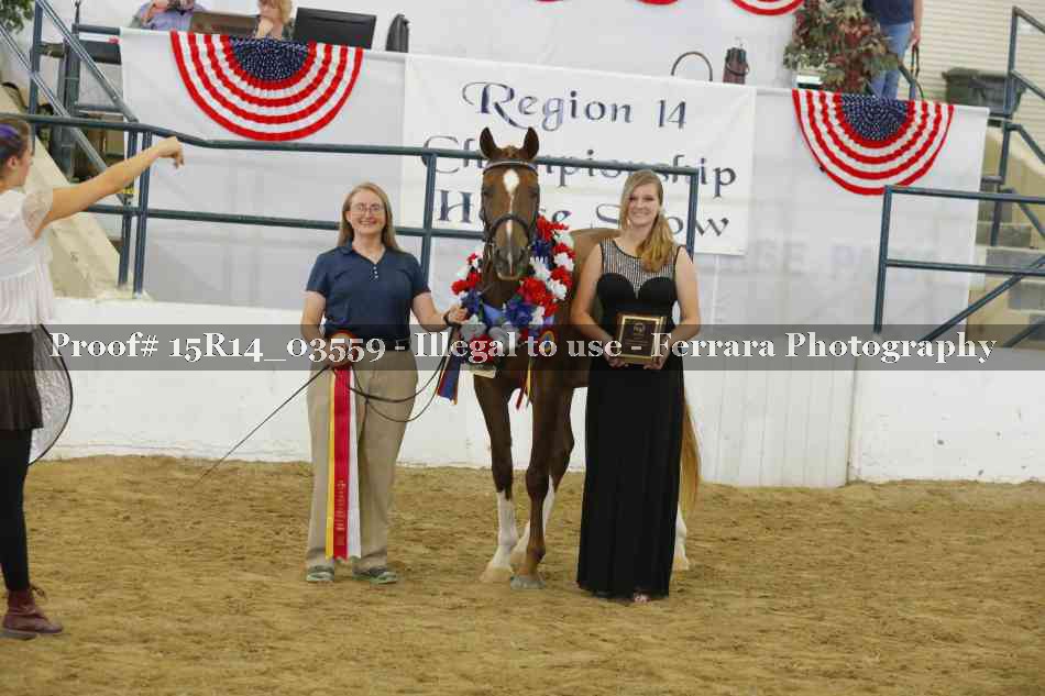 Proof Number 15R14_03559