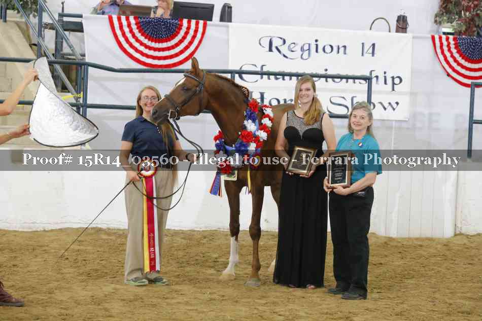 Proof Number 15R14_03560