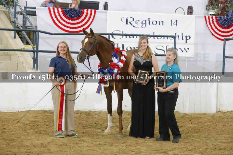 Proof Number 15R14_03561