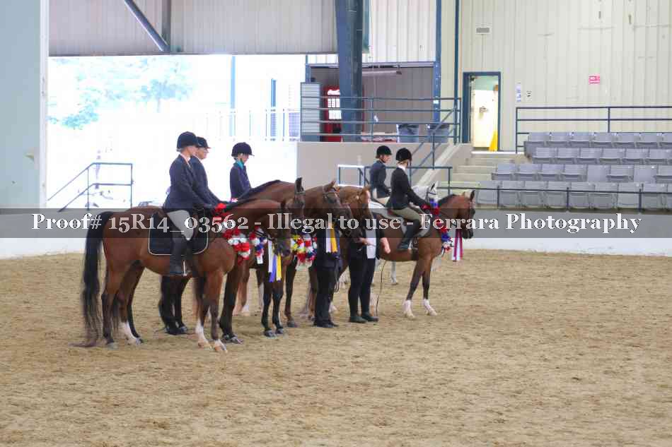 Proof Number 15R14_03562