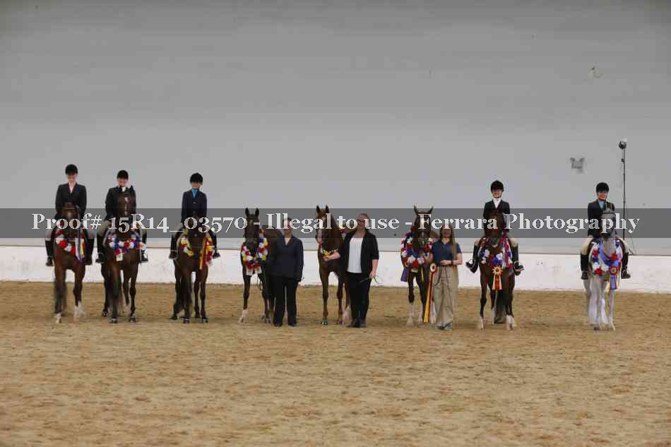 Proof Number 15R14_03570
