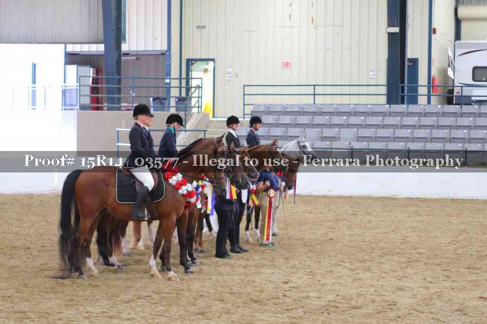 Proof Number 15R14_03577