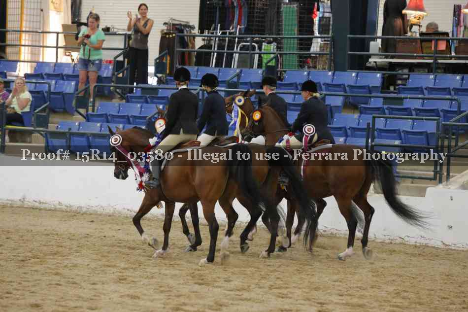 Proof Number 15R14_03580