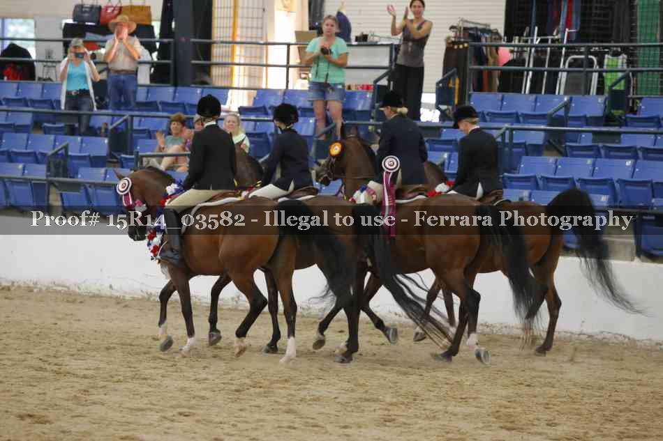 Proof Number 15R14_03582