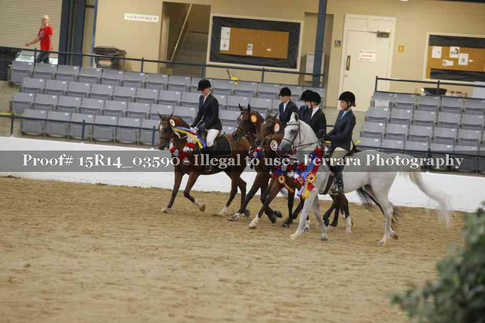 Proof Number 15R14_03590