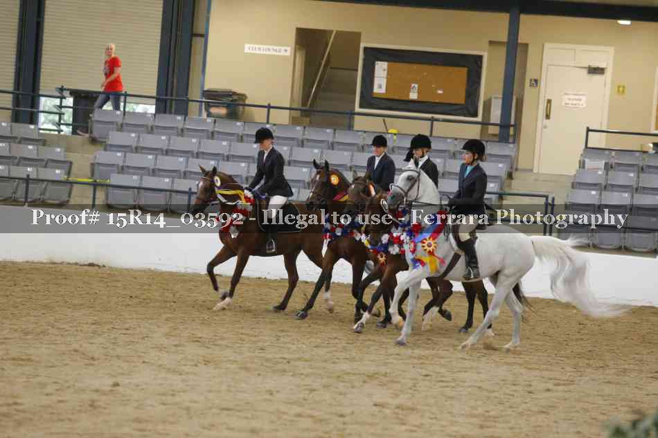 Proof Number 15R14_03592