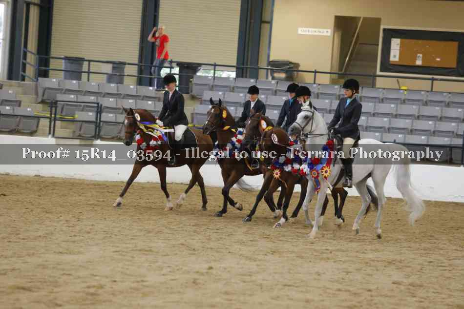 Proof Number 15R14_03594