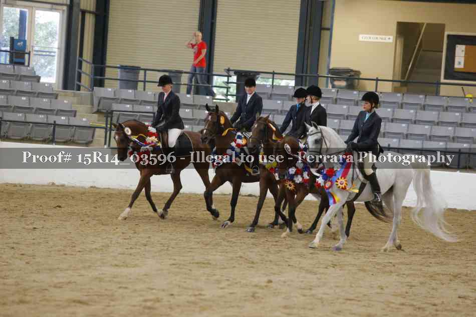 Proof Number 15R14_03596