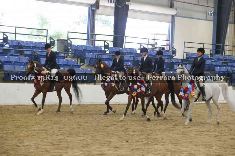 Proof Number 15R14_03600